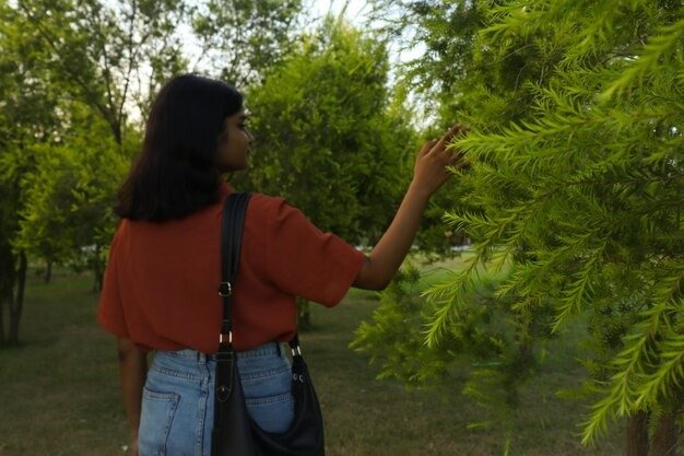 Choosing the Right Affordable Trees