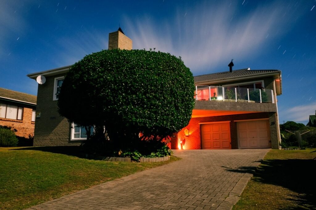 Choosing the Right Bush Removal Service