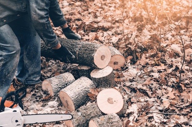 Cost To Cut Down A Tree And Remove Stump