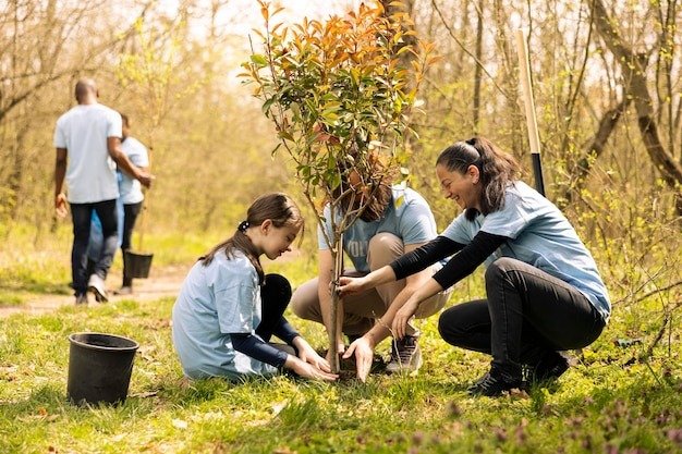 Essential Tips for Effective Tree Cleanup