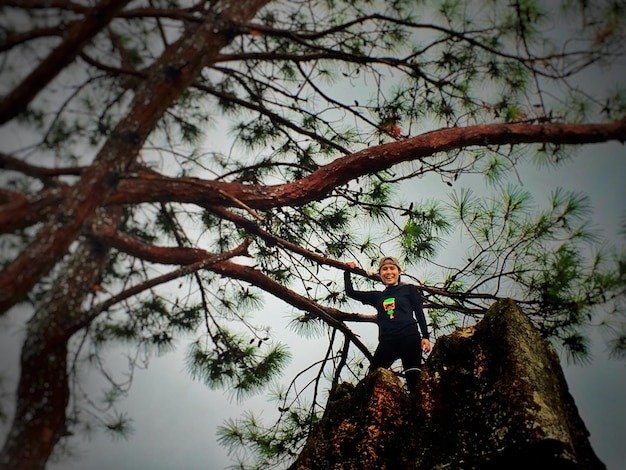 Factors Affecting Tree Cutting Quotations
