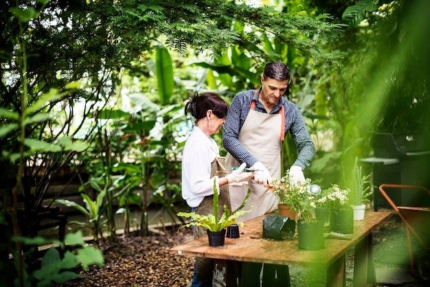 Finding Affordable Trees for Your Garden