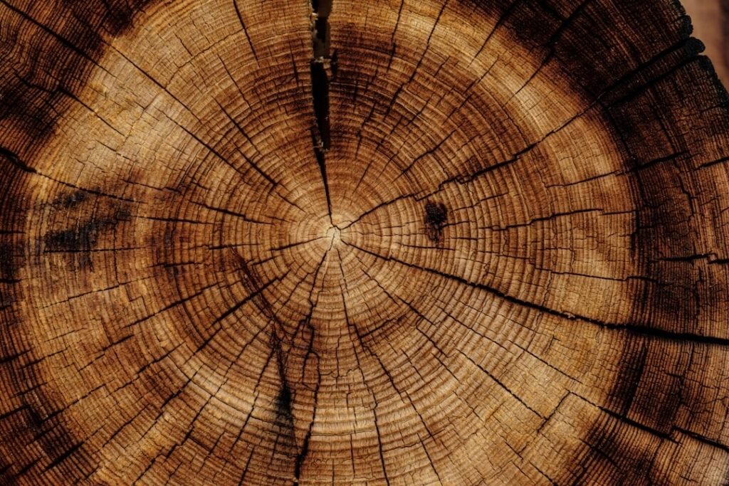 Understanding the Costs of Wood Chipping Services