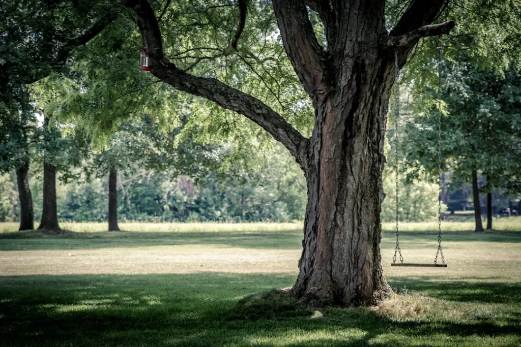 How Much Does it Cost to Haul Away Tree Branches